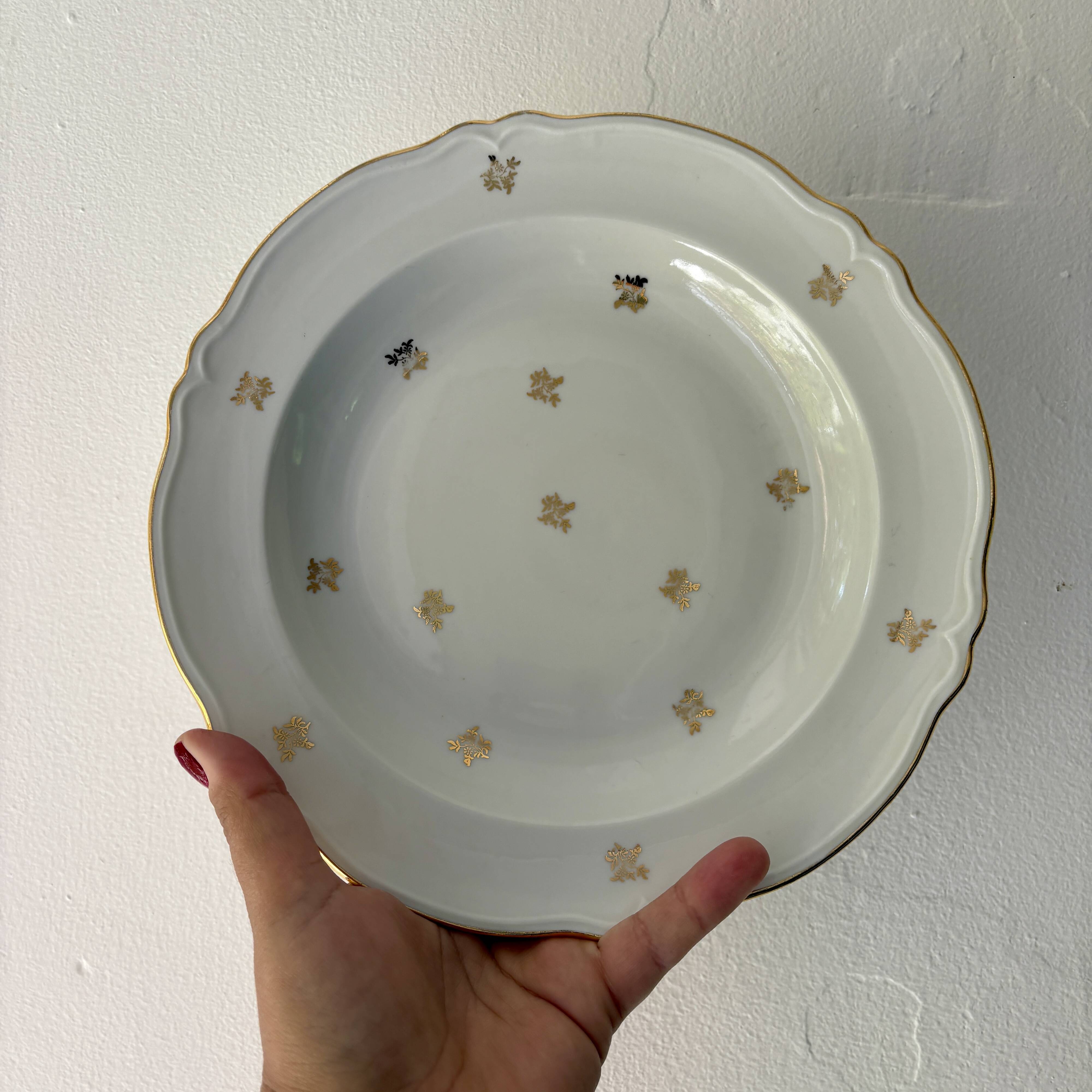 Set of 10 vintage Limoges porcelain soup plates