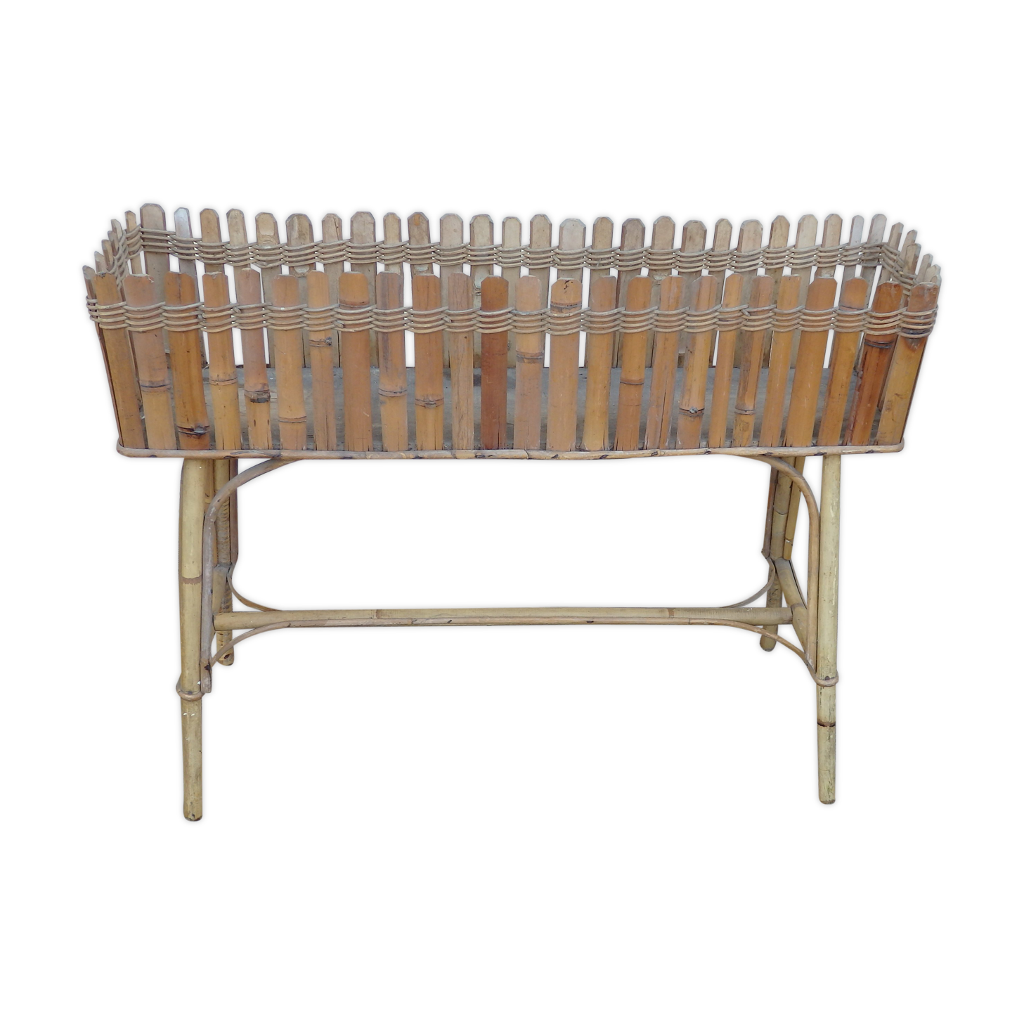 Vintage rot root plant door