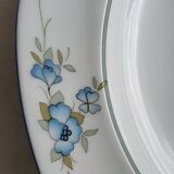 Plats porcelaine bavaria