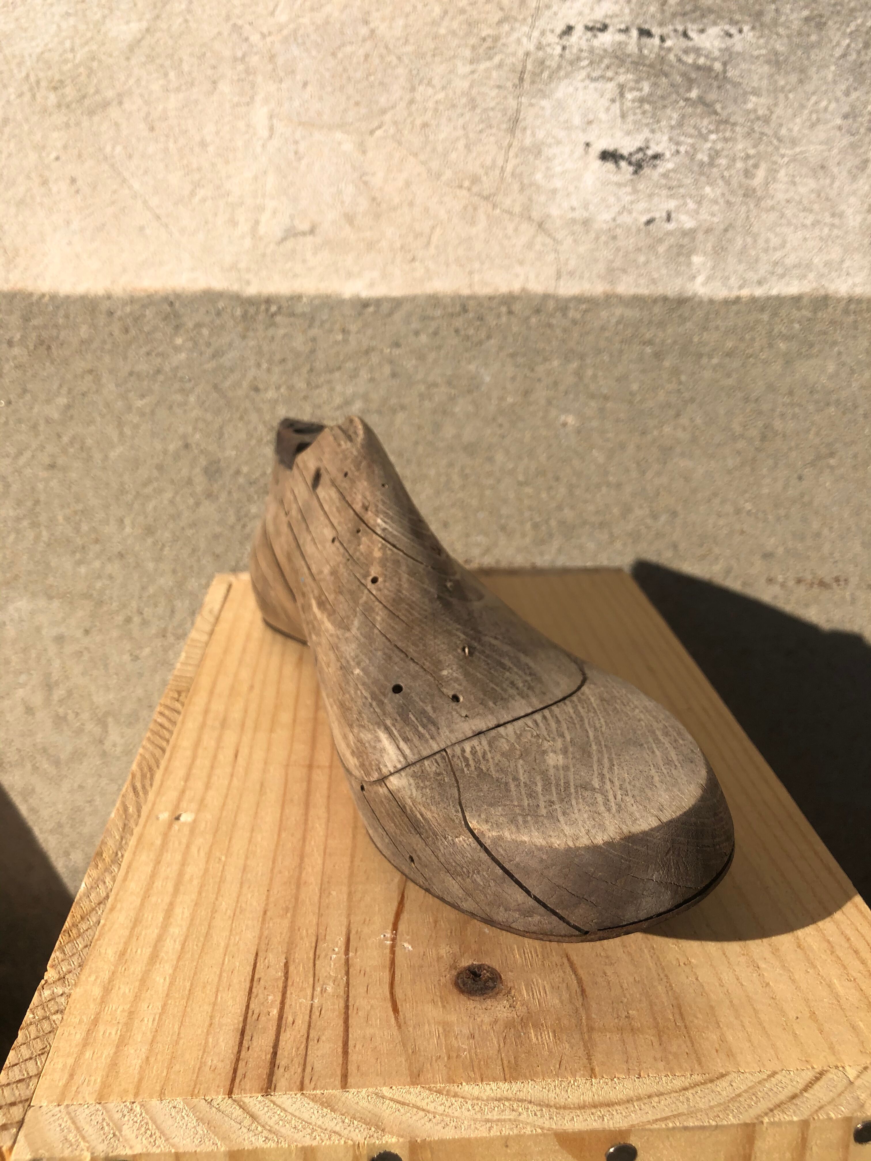 Old wooden and metal shoe tree