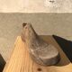 Old wooden and metal shoe tree