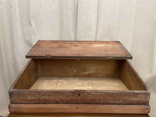 Nineteenth century oak travel writer