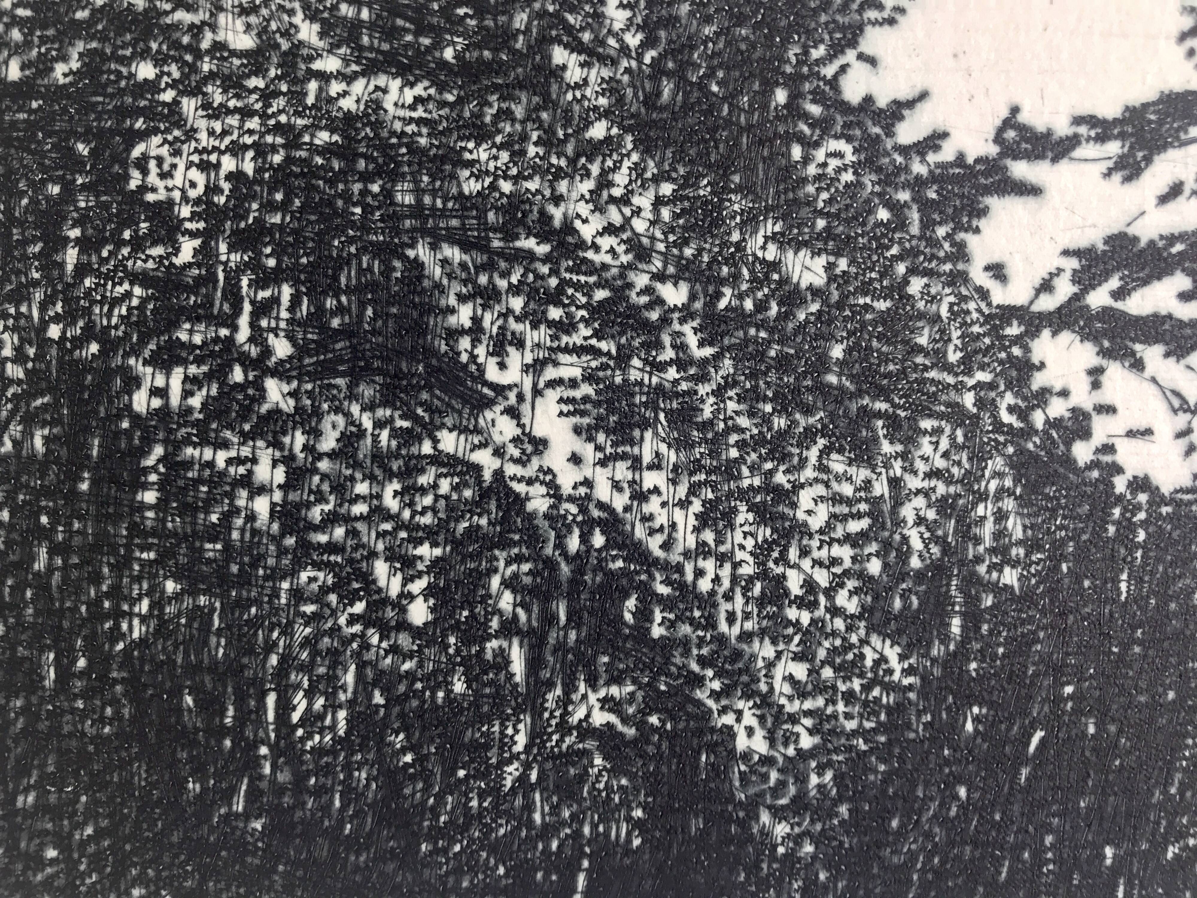 Nicole BOUHARMONT, Parc de Sceaux I, 2003-16. Drypoint signed in pencil