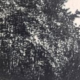 Nicole Bouharmont, Parc de Sceaux i, 2003-16. pointe sèche signée au crayon