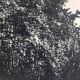 Nicole BOUHARMONT, Parc de Sceaux I, 2003-16. Drypoint signed in pencil