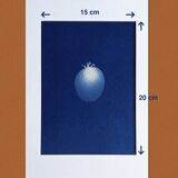 Cyanotype