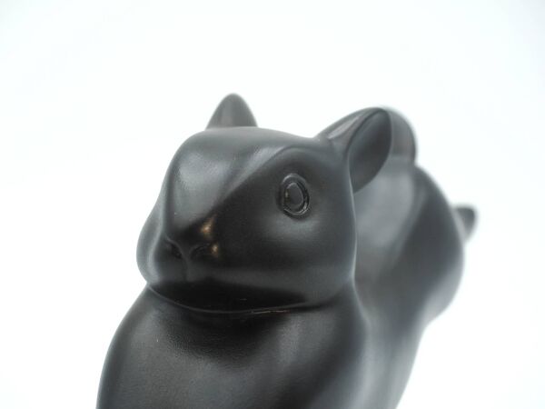 Lapin
