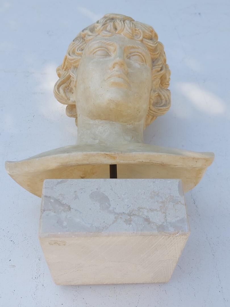 Plaster and marble bust