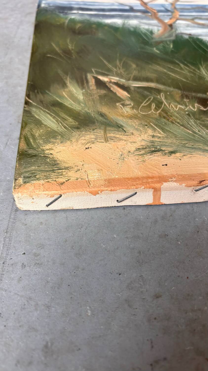 Painting Denmark sea view