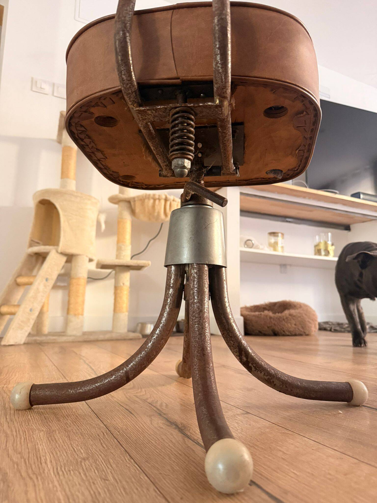 Chaise bienaise en métal et cuir