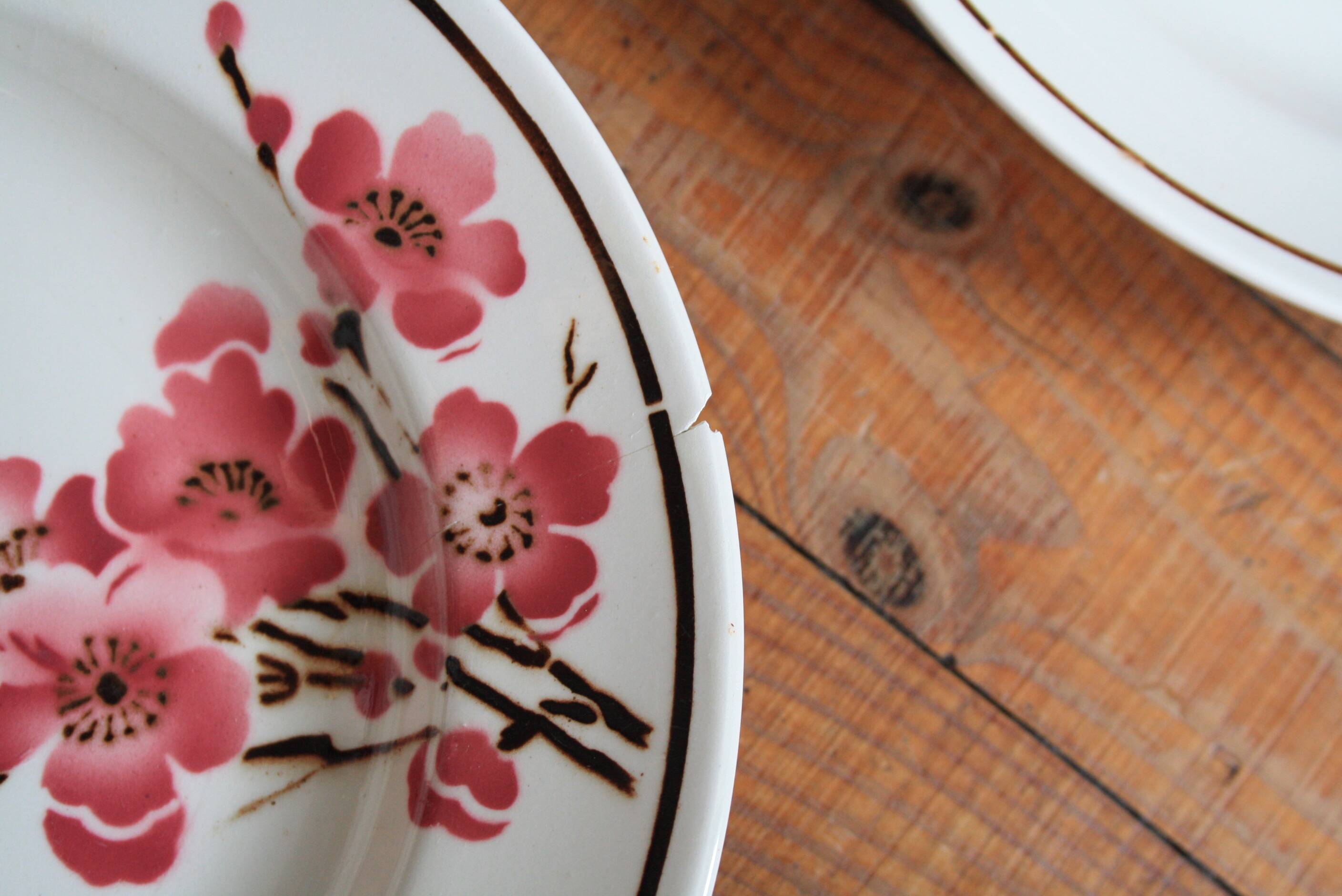 Set of 6 Terre de Fer St Amand "cherry" deep plates