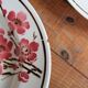 Set of 6 Terre de Fer St Amand "cherry" deep plates