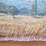 Wheat fields