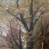 Huile sur toile paysage de forêt par L. Henry Barbizon début XXe