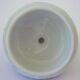 Covered sweetener with two handles in Japanese porcelain with blue camaïeu decoration