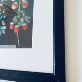 Strawberries framed lithograph