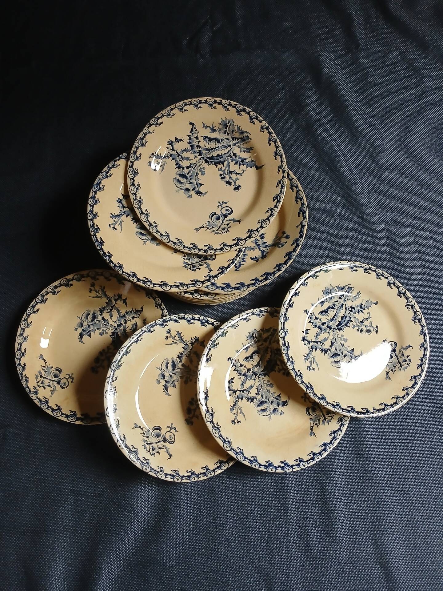 14 dinner plates + 2 "Chardons" dishes from Gien