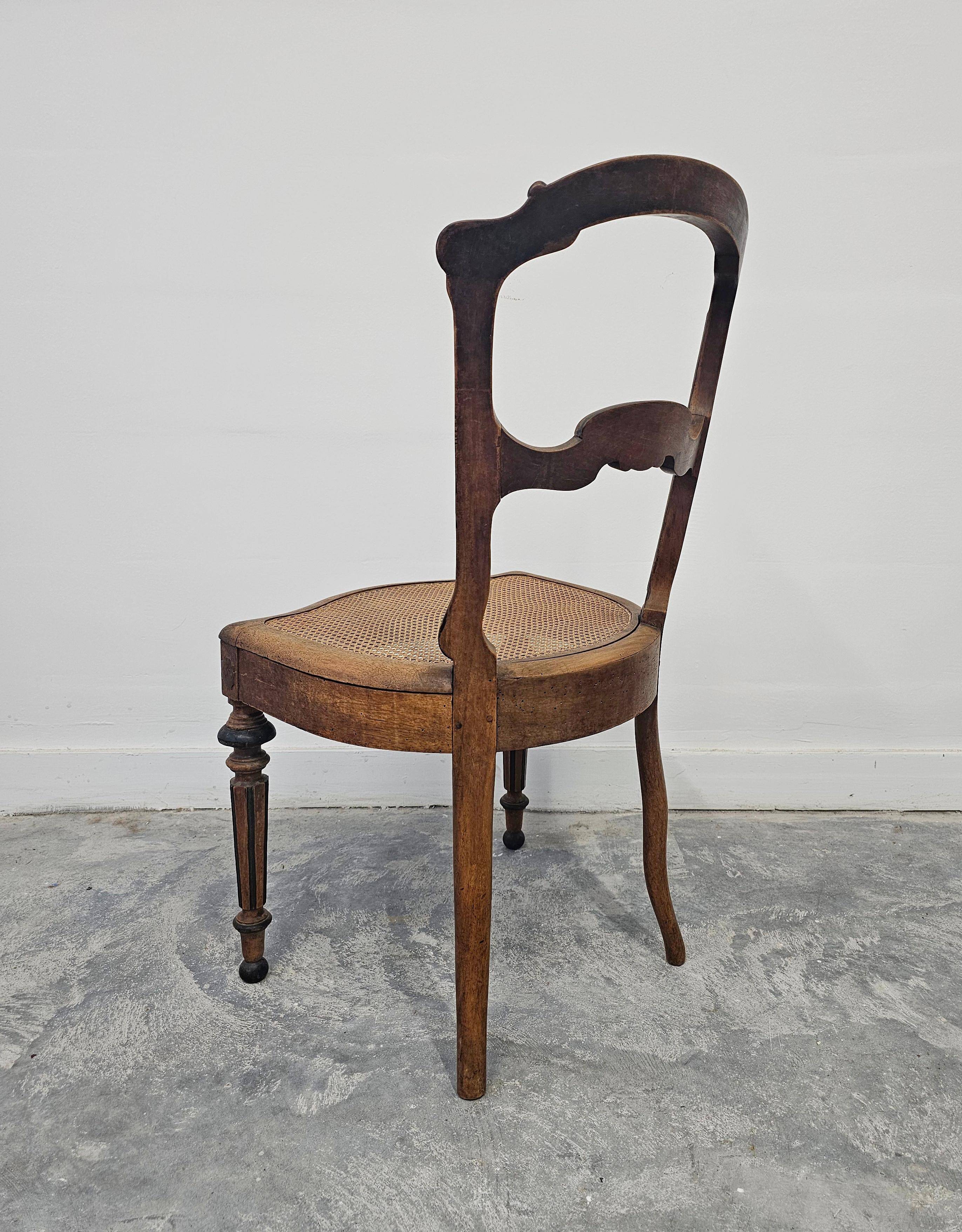 Set of 6 antique dining chairs in solid walnut, cane seats, 19th century.
