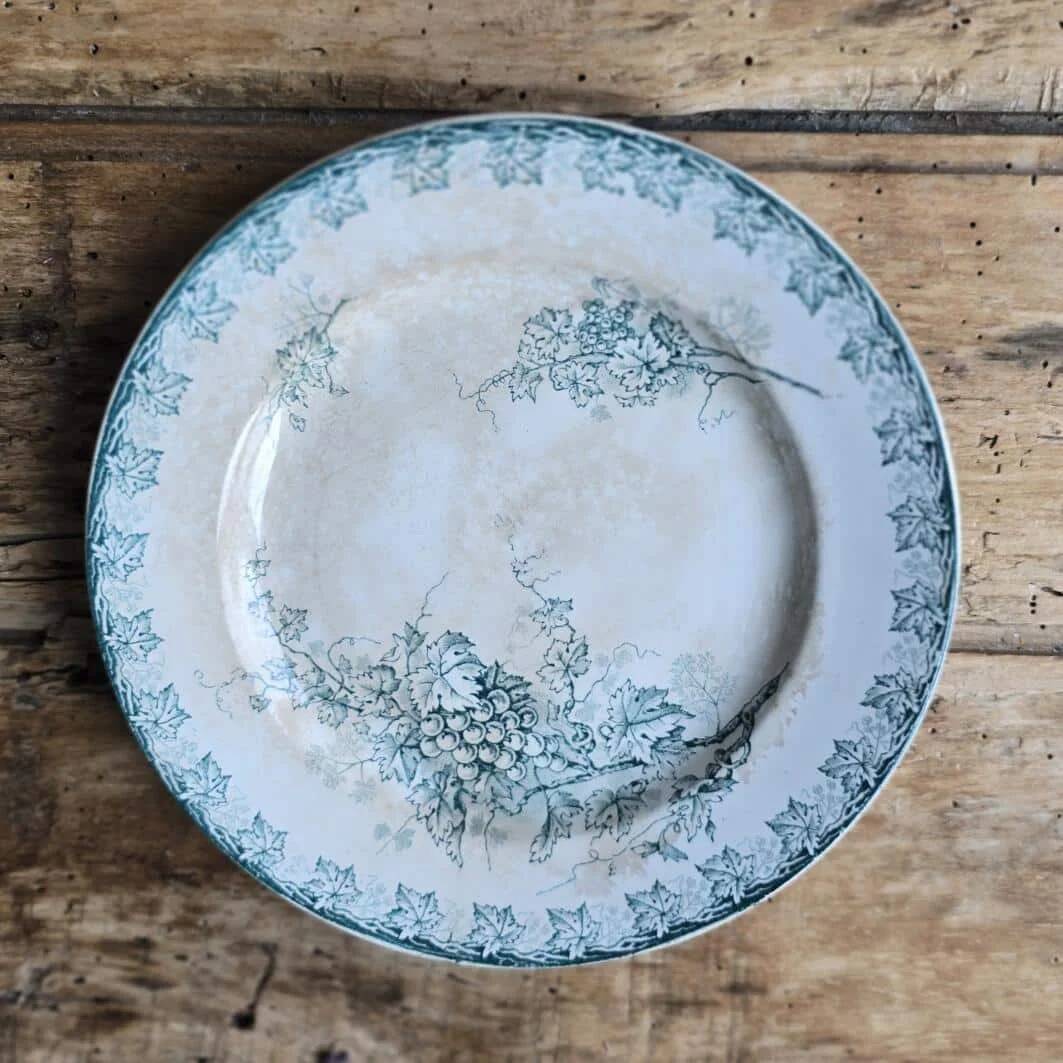 Plate plate model Grape