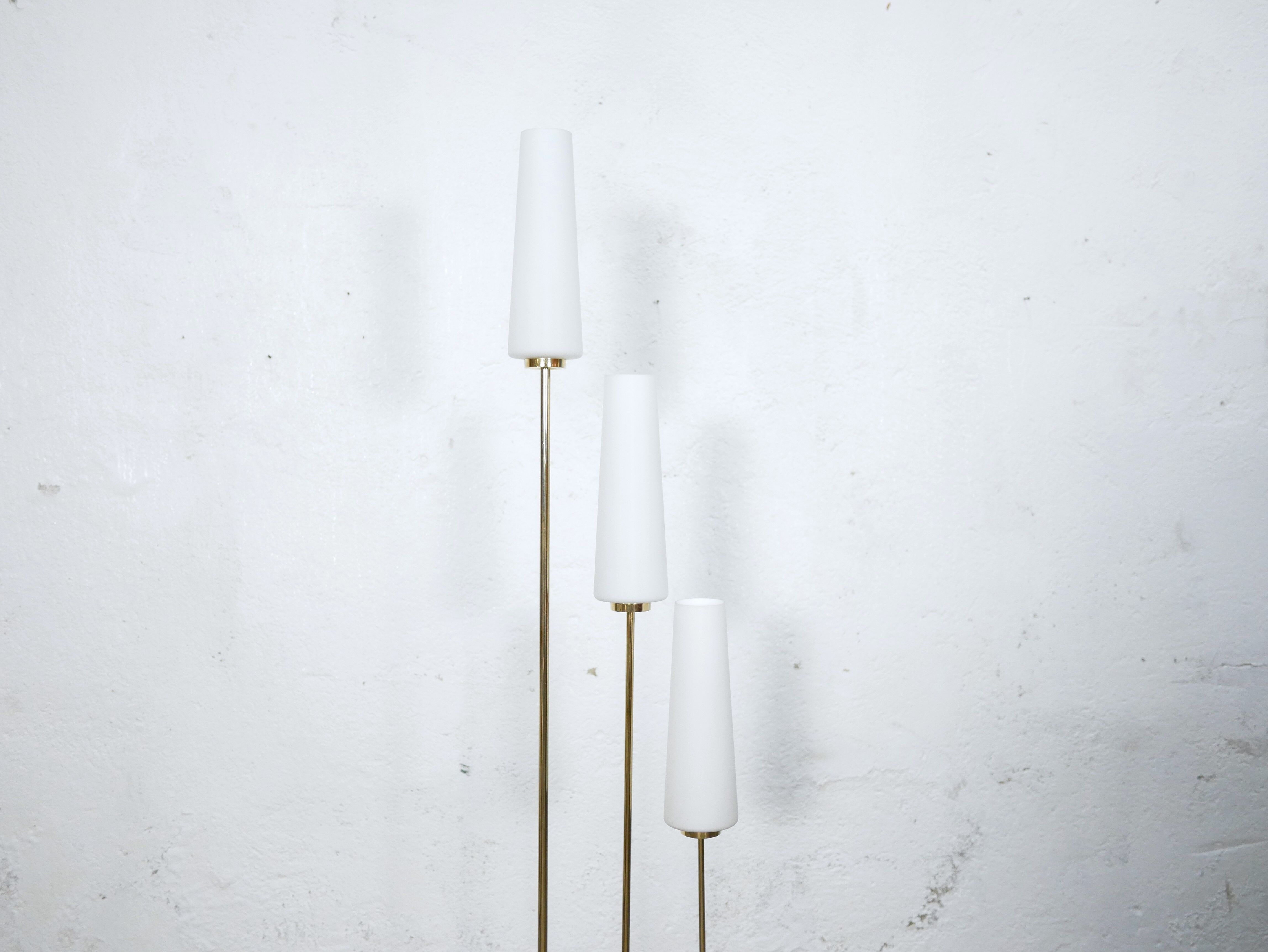 Vintage floor lamp in black metal, brass and opaline