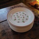 11 dinner plates decorated with stylized roses. 1950s. 11 dinner plates