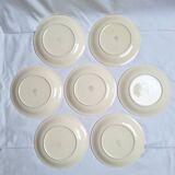 Villeroy & Boch yellow dinner plates
