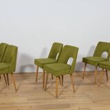 Shell Chairs from Bydgoszcz Furniture Factory, Poland, 1960s, Set of 6
