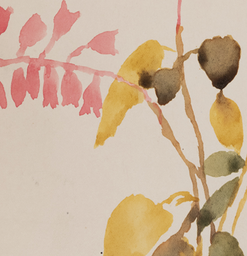 Watercolor illustration flowers