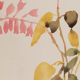 Watercolor illustration flowers