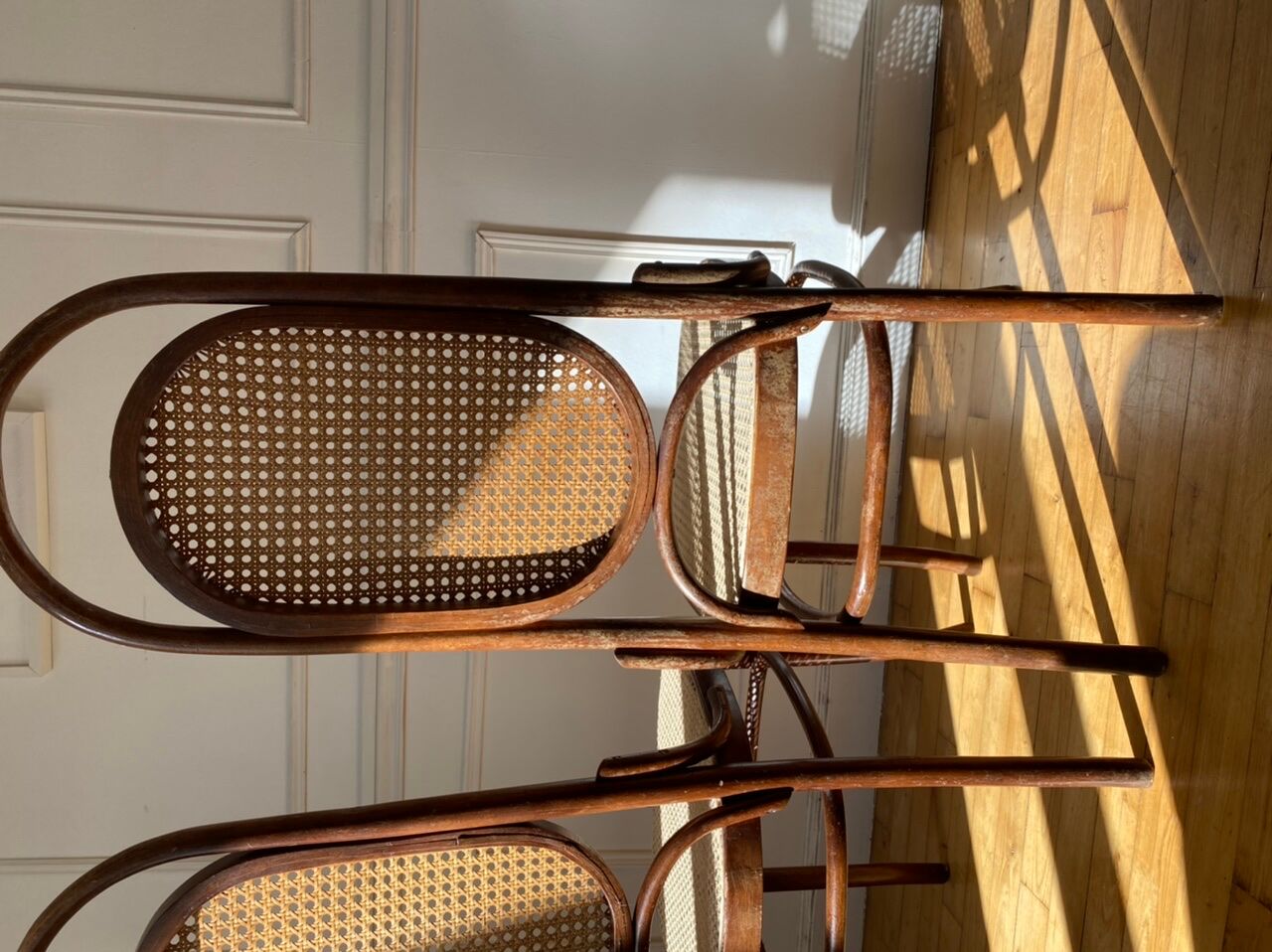 Pair of chairs Thonet 17 reissue FMG