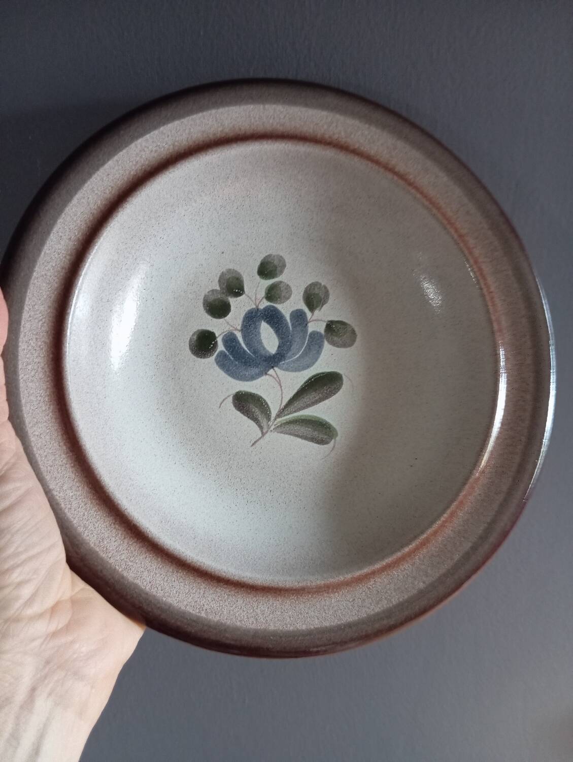 Soup plates, beige stoneware with gray/blue flower by MBFA Pornic model Fanchon, set of 6