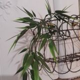 Small basket of rounded wire