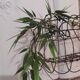 Small basket of rounded wire