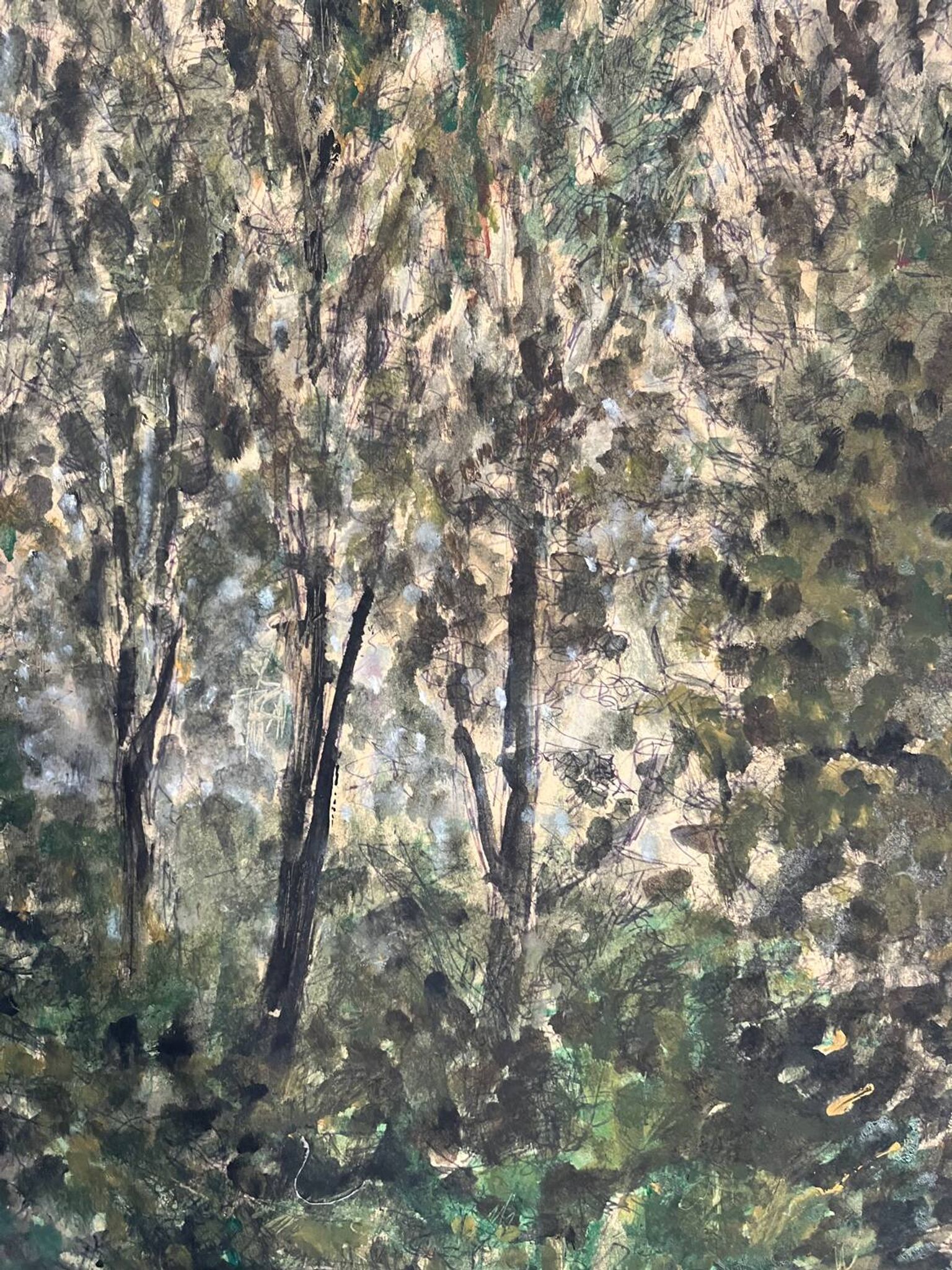 "Trees" oil on cardboard signed