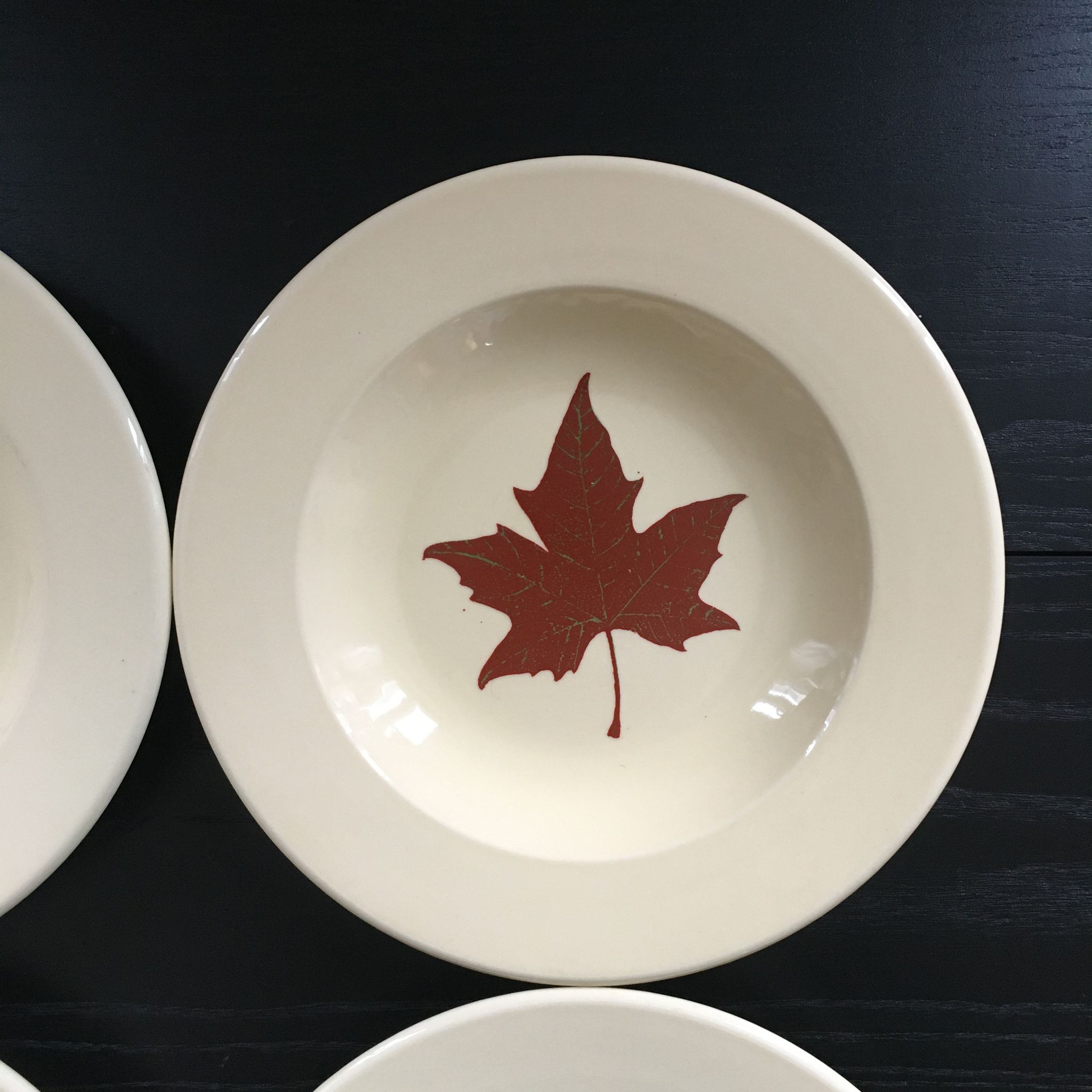 Lot 4 assiettes décor feuille