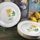 6 assiettes plates blanches rose jaune Moulin des loups Orchies