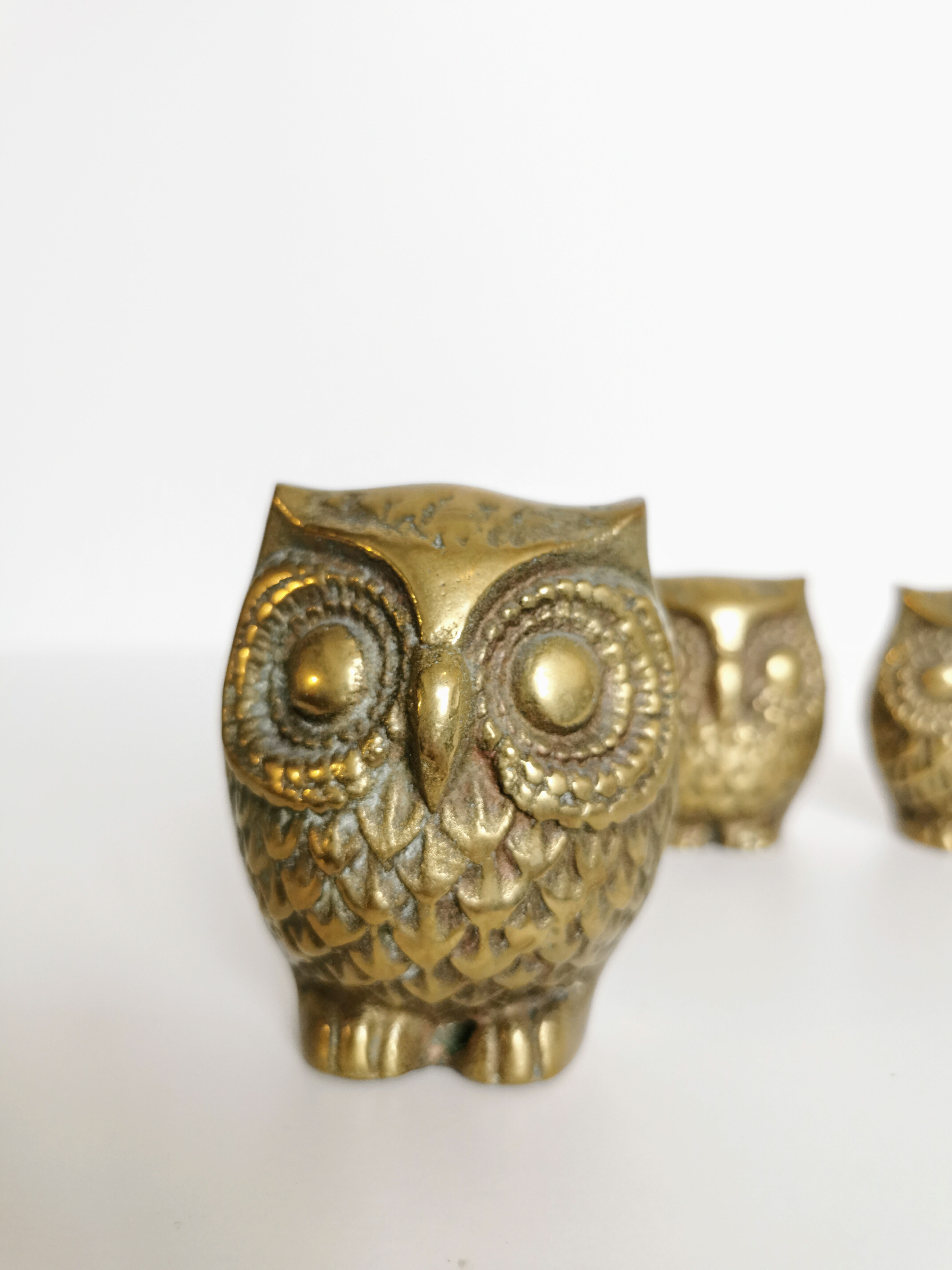 Trio of brass owls