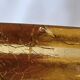 Art Deco Vase in Cracked Amber Crystal