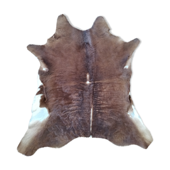 Cow skin