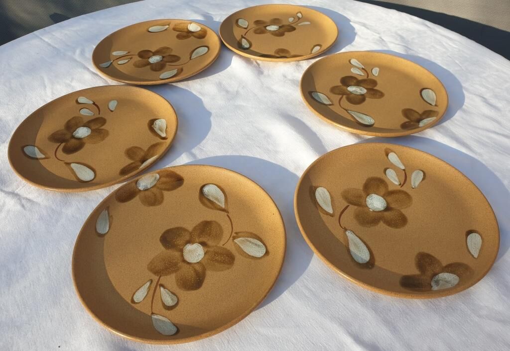 Set 6 flat plates D19.5 Nadège 1970 Sarreguemines