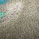 Italian Wool Rug in Modern Abstract Design, 1980s