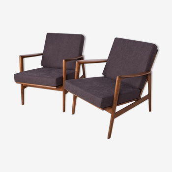 Model 300-139 Armchairs from Swarzędzka, 1960s, Set of 2