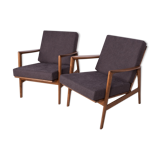 Model 300-139 Armchairs from Swarzędzka, 1960s, Set of 2