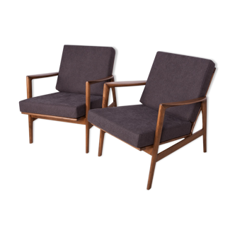 2 fauteuils de swarzędzka, années 1960, modèle 300-139
