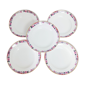 Lot de 9 assiettes en