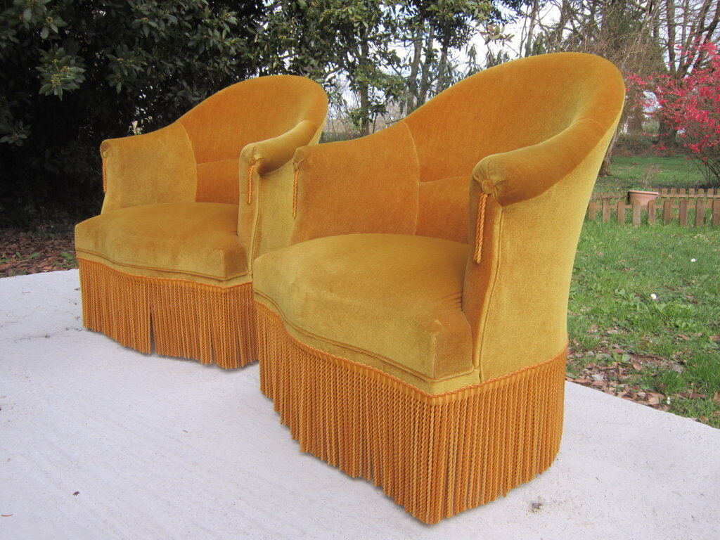 Pair of armchairs velvet Toad