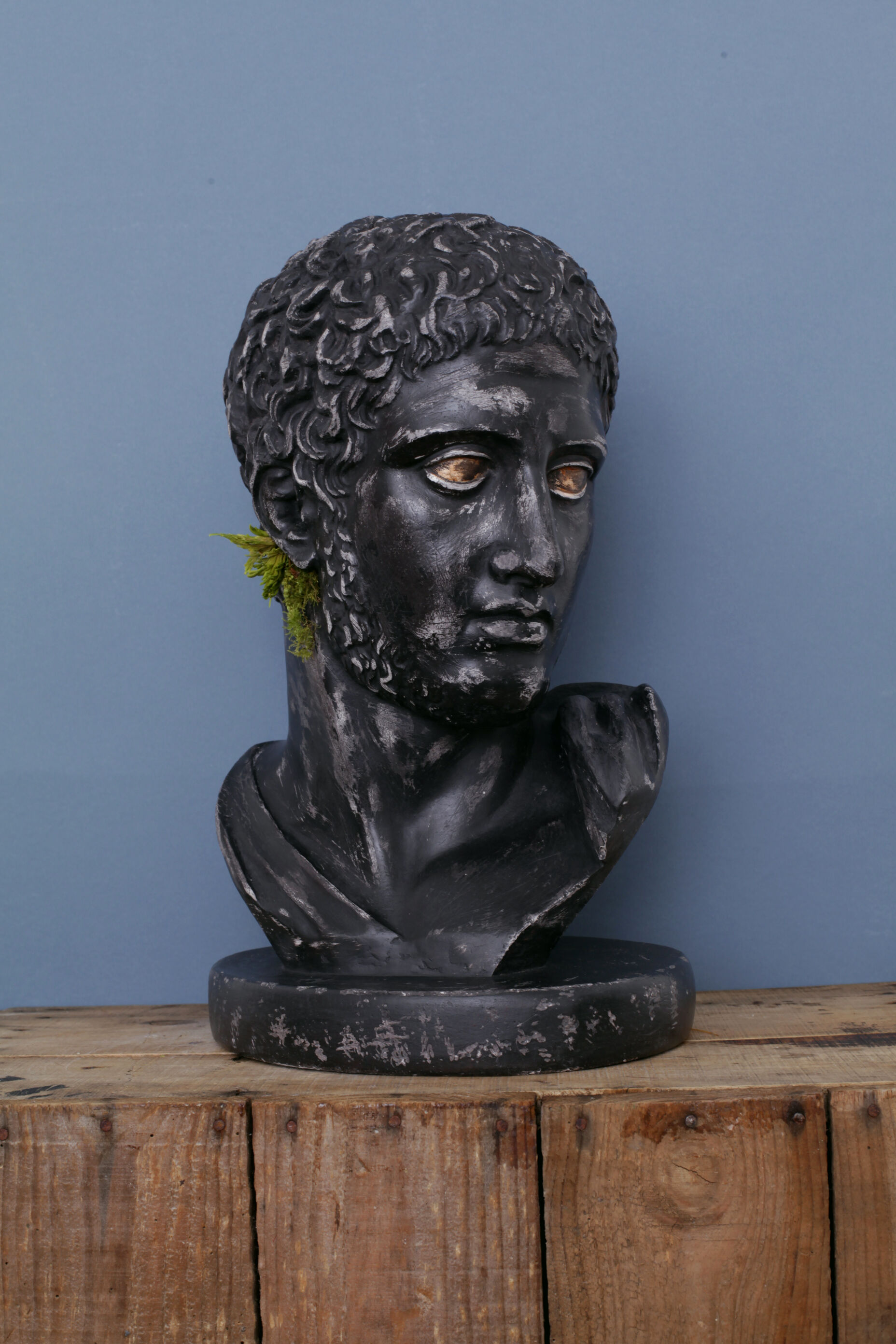 Greek head in waxed black plaster