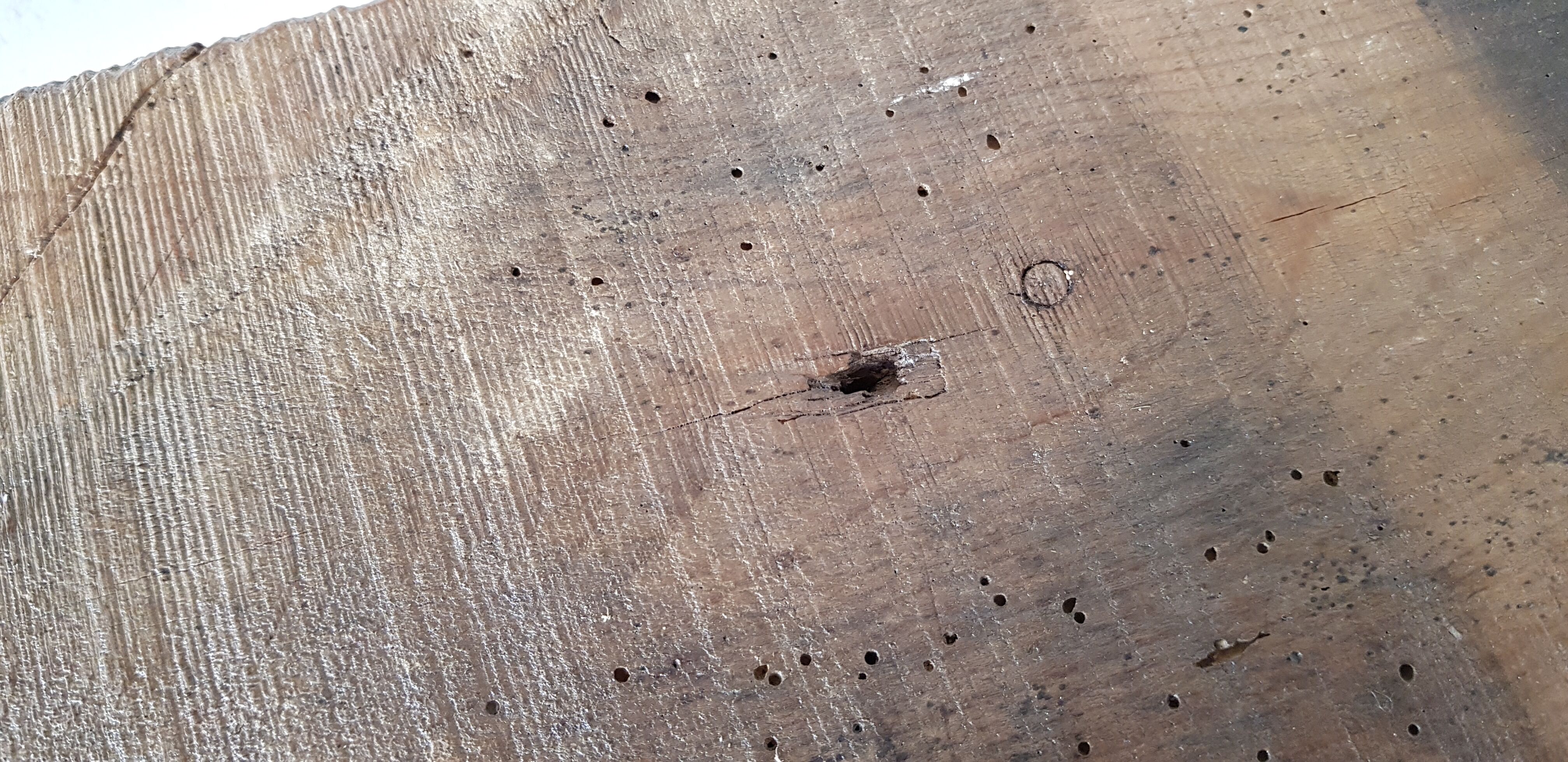 Primitive established