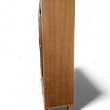Library / vintage wooden display cabinet