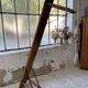 Banc chêne XXL XIXème 280cm
